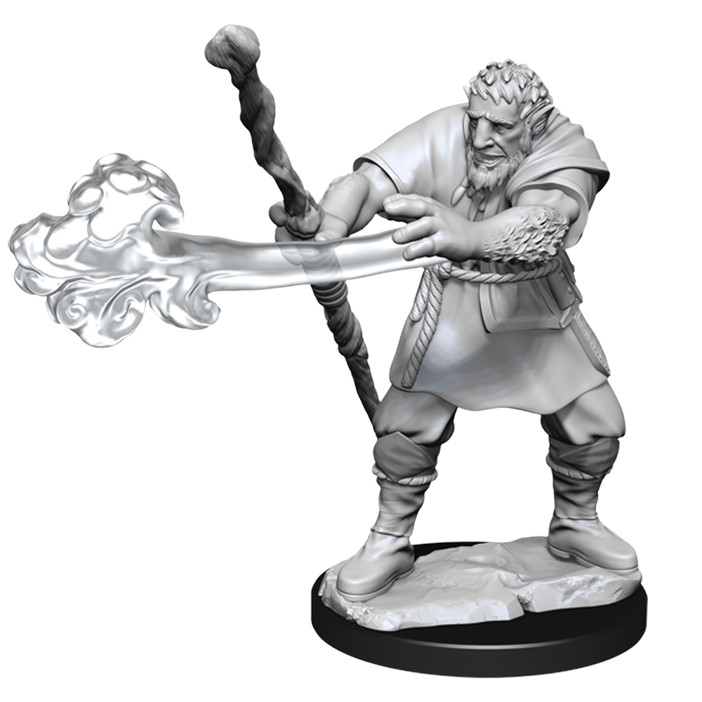 Firbolg Druid Male (Nolzurs - W11)